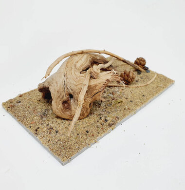 AntScape Biohobby 0323052701004