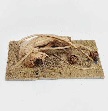 AntScape Biohobby 0323052701004