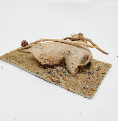 AntScape Biohobby 0323052701004