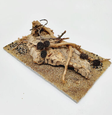 AntScape Biohobby 0323052701006