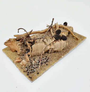 AntScape Biohobby 0323052701006