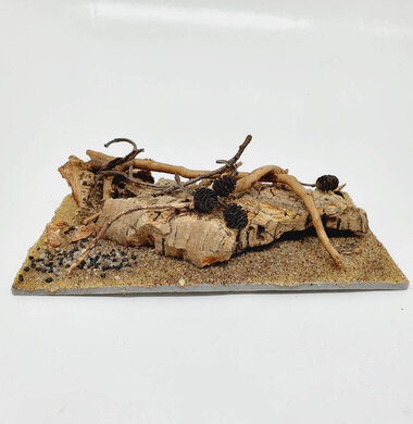 AntScape Biohobby 0323052701006