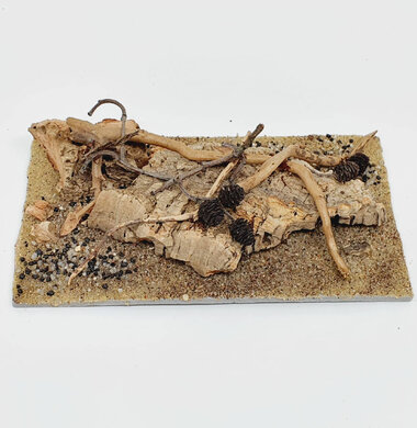 AntScape Biohobby 0323052701006