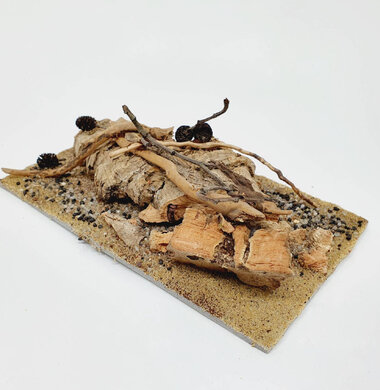 AntScape Biohobby 0323052701006