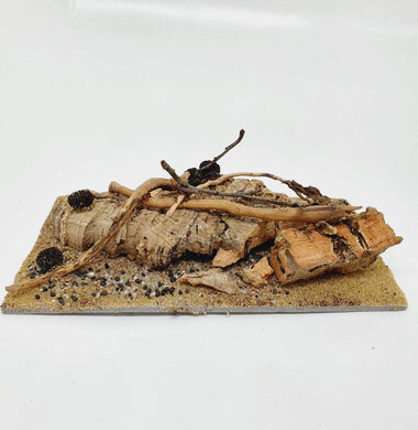 AntScape Biohobby 0323052701006