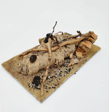 AntScape Biohobby 0323052701006