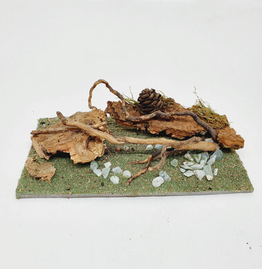 AntScape Biohobby 0323052701022