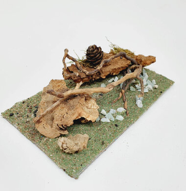 AntScape Biohobby 0323052701022