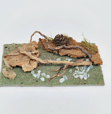 AntScape Biohobby 0323052701022