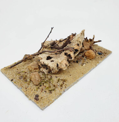 AntScape Biohobby 0323060902007