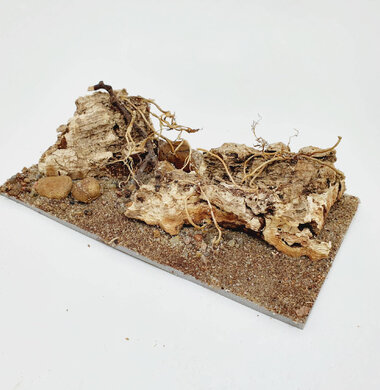 AntScape Biohobby 0323060903010