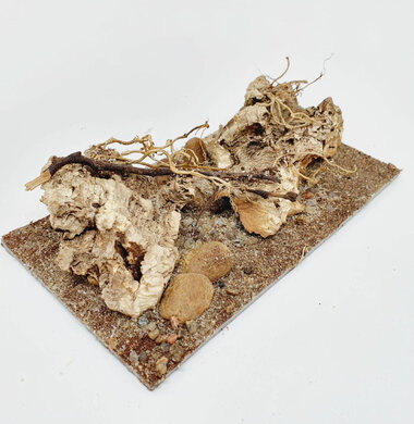 AntScape Biohobby 0323060903010