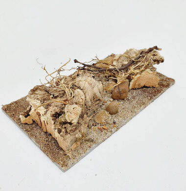 AntScape Biohobby 0323060903010