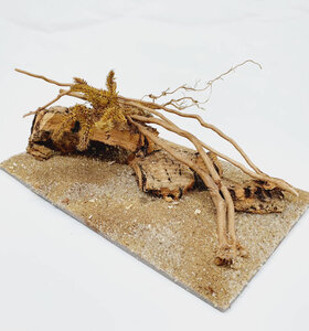 AntScape Biohobby 0323070501013