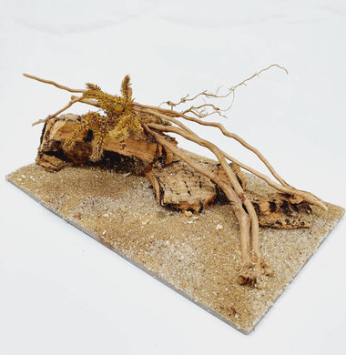 AntScape Biohobby 0323070501013