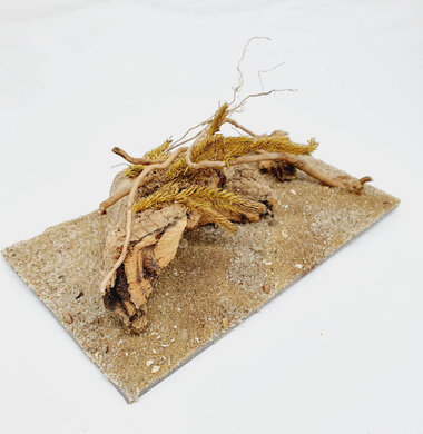 AntScape Biohobby 0323070501013