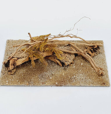 AntScape Biohobby 0323070501013