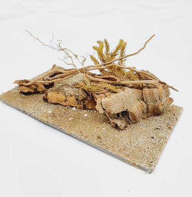 AntScape Biohobby 0323070501013