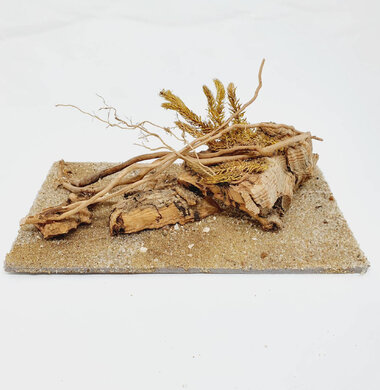 AntScape Biohobby 0323070501013