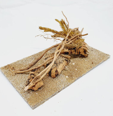 AntScape Biohobby 0323070501013