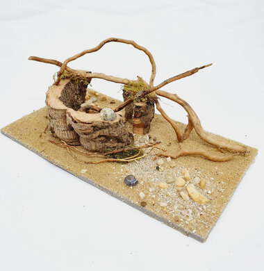 AntScape Biohobby 0323070501014