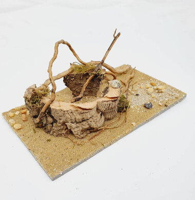 AntScape Biohobby 0323070501014