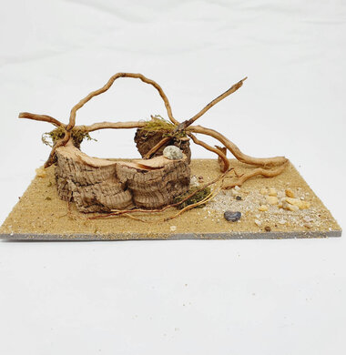 AntScape Biohobby 0323070501014