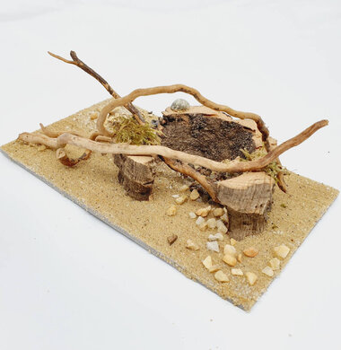 AntScape Biohobby 0323070501014