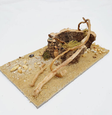 AntScape Biohobby 0323070501014