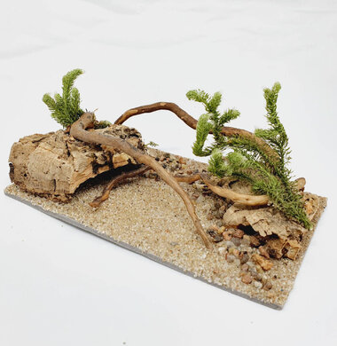 AntScape Biohobby 0323070501016