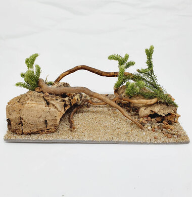 AntScape Biohobby 0323070501016