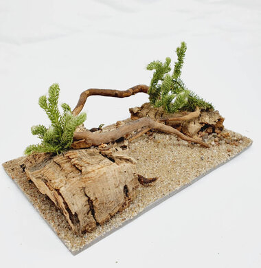 AntScape Biohobby 0323070501016