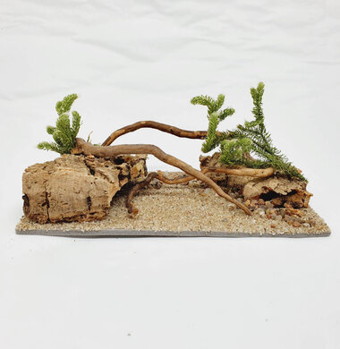 AntScape Biohobby 0323070501016