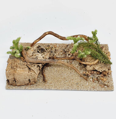 AntScape Biohobby 0323070501016