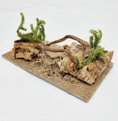 AntScape Biohobby 0323070501016