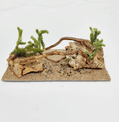 AntScape Biohobby 0323070501016