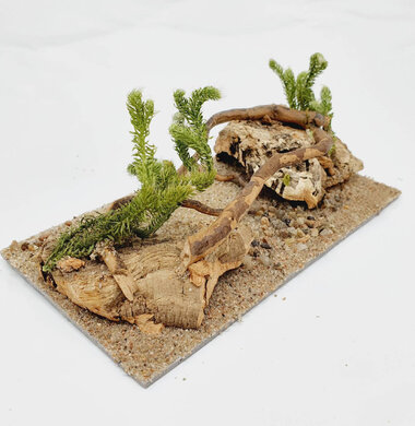 AntScape Biohobby 0323070501016