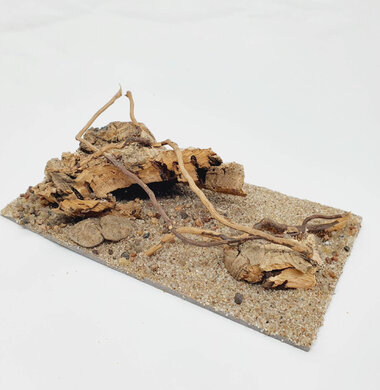 AntScape Biohobby 0323070501026