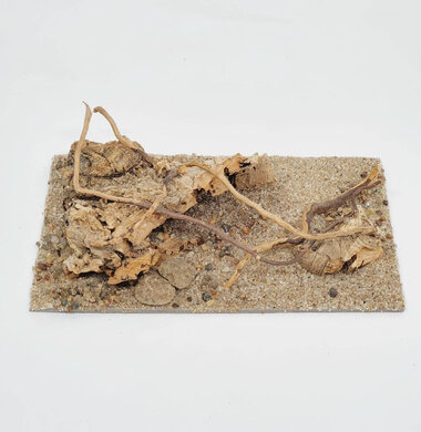 AntScape Biohobby 0323070501026