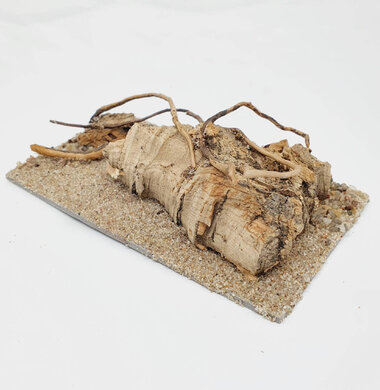 AntScape Biohobby 0323070501026