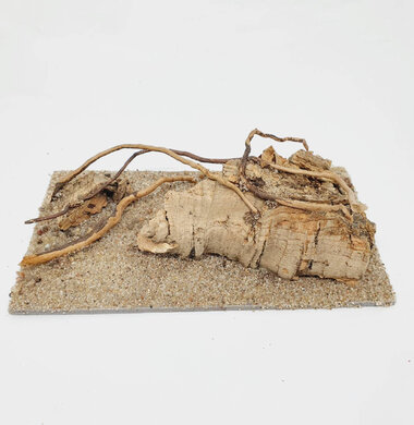 AntScape Biohobby 0323070501026