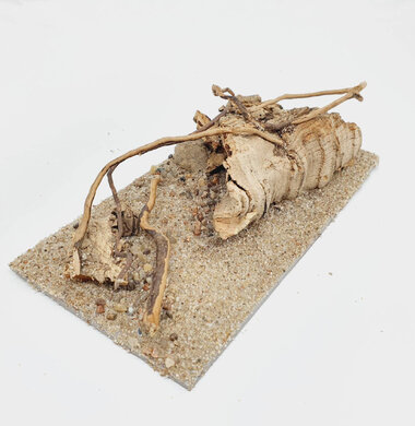 AntScape Biohobby 0323070501026