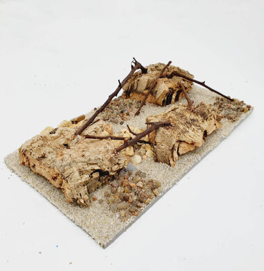 AntScape Biohobby 0323070504019