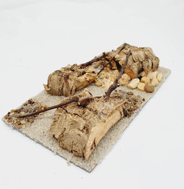 AntScape Biohobby 0323070504019