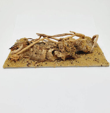 AntScape Biohobby 0423021401002