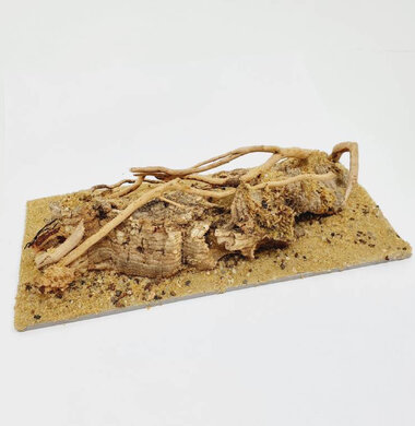 AntScape Biohobby 0423021401002