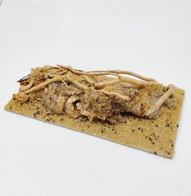 AntScape Biohobby 0423021401002