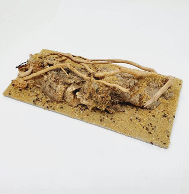 AntScape Biohobby 0423021401002
