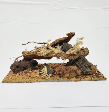 AntScape Biohobby 0423022401002