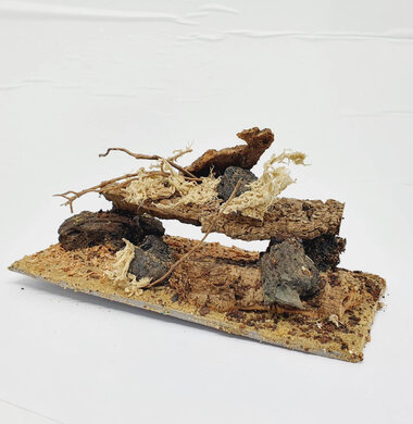 AntScape Biohobby 0423022401002